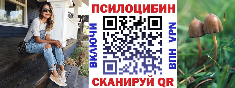 Галлюциногенные грибы Magic Shrooms  Купить  Валдай 